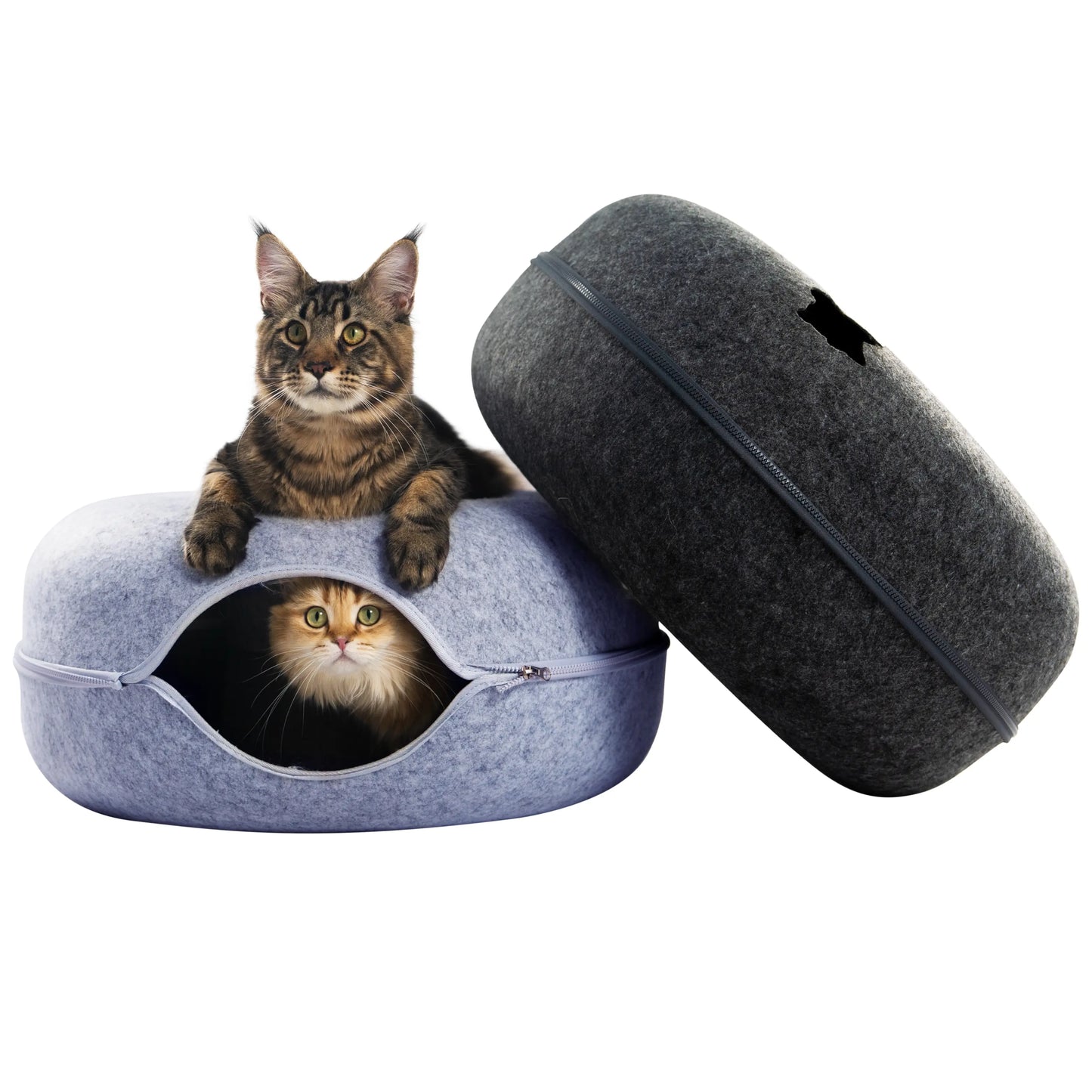 CATTASAURUS Peekaboo Cat Cave Tunnel Bed for Large & Multiple Cats