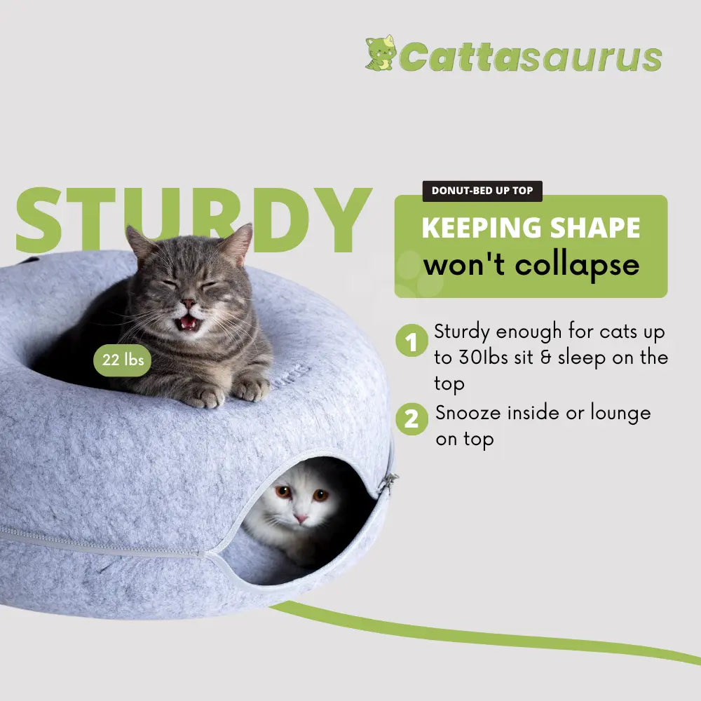 CATTASAURUS Peekaboo Cat Cave Tunnel Bed for Large & Multiple Cats