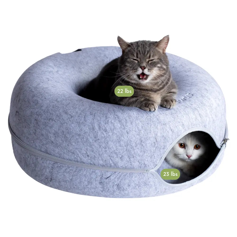 CATTASAURUS Peekaboo Cat Cave Tunnel Bed for Large & Multiple Cats