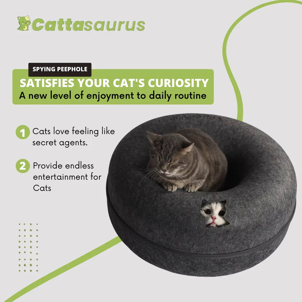 CATTASAURUS Peekaboo Cat Cave Tunnel Bed for Large & Multiple Cats