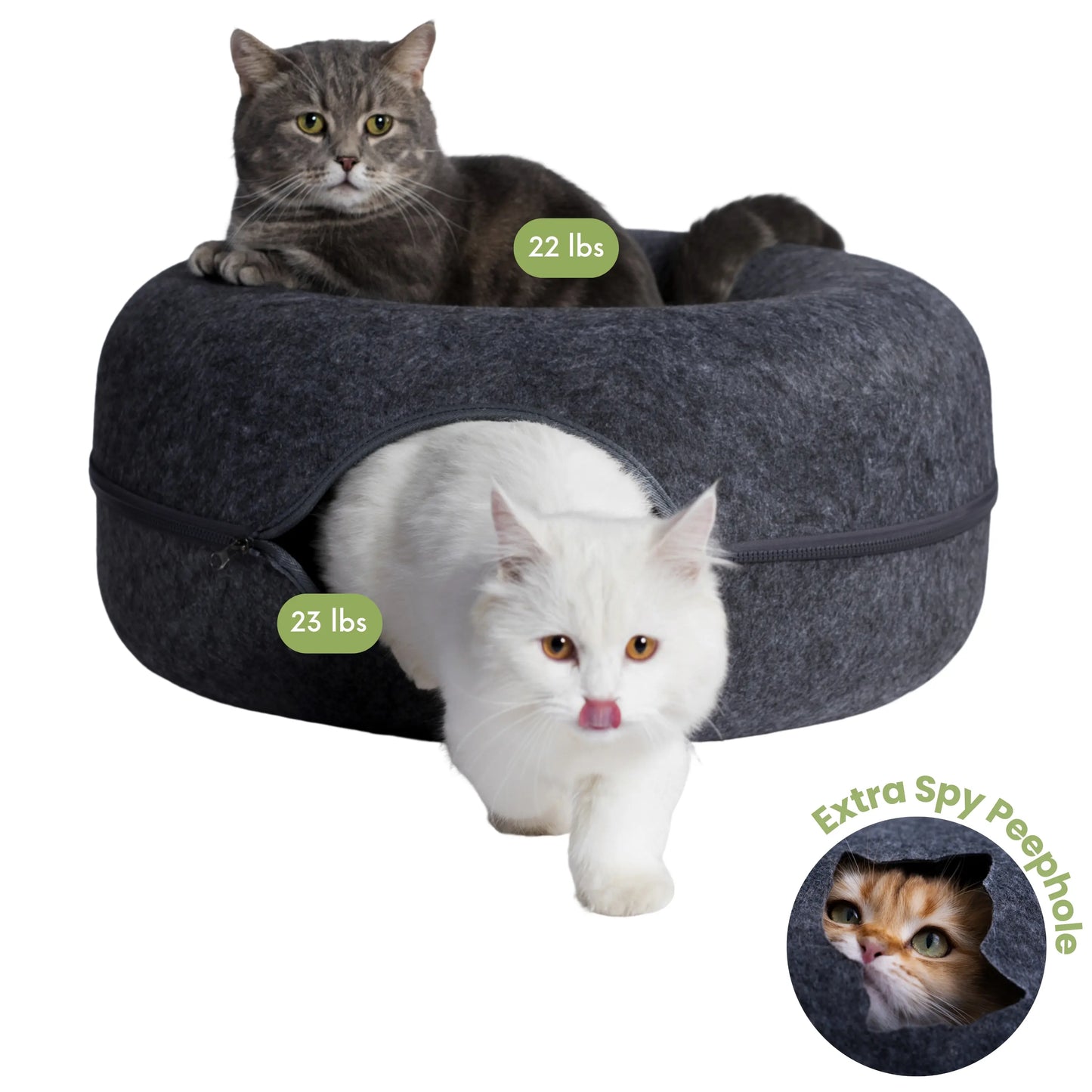 CATTASAURUS Peekaboo Cat Cave Tunnel Bed for Large & Multiple Cats