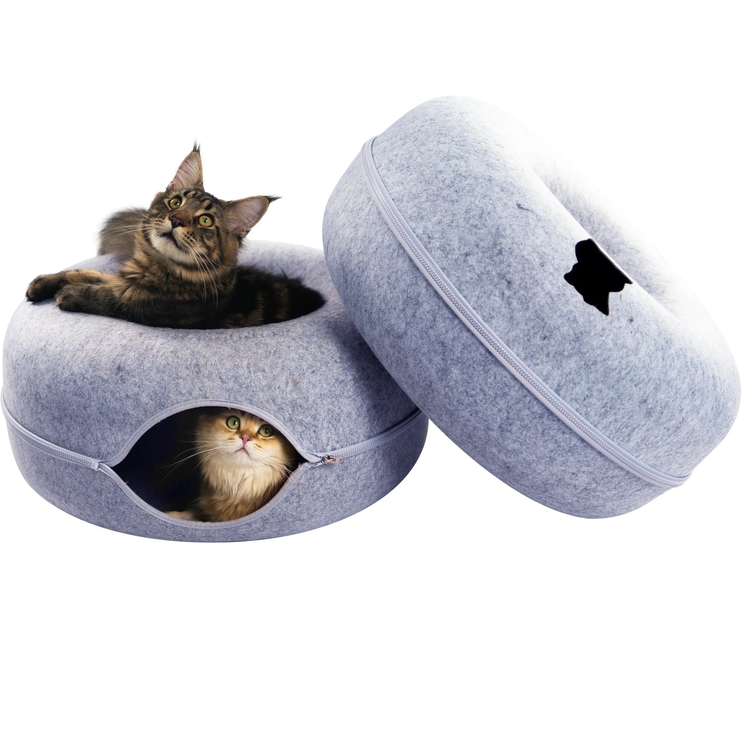 CATTASAURUS Peekaboo Cat Cave Tunnel Bed for Large & Multiple Cats